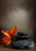 Fleurs et galets pour un doux hommage